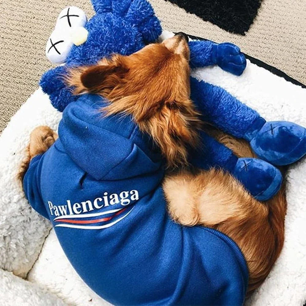 Pawlenciaga Small Dog Hoodie Pet Apparel In Blue